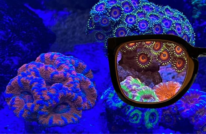 Aqua Medic Coral Glasses