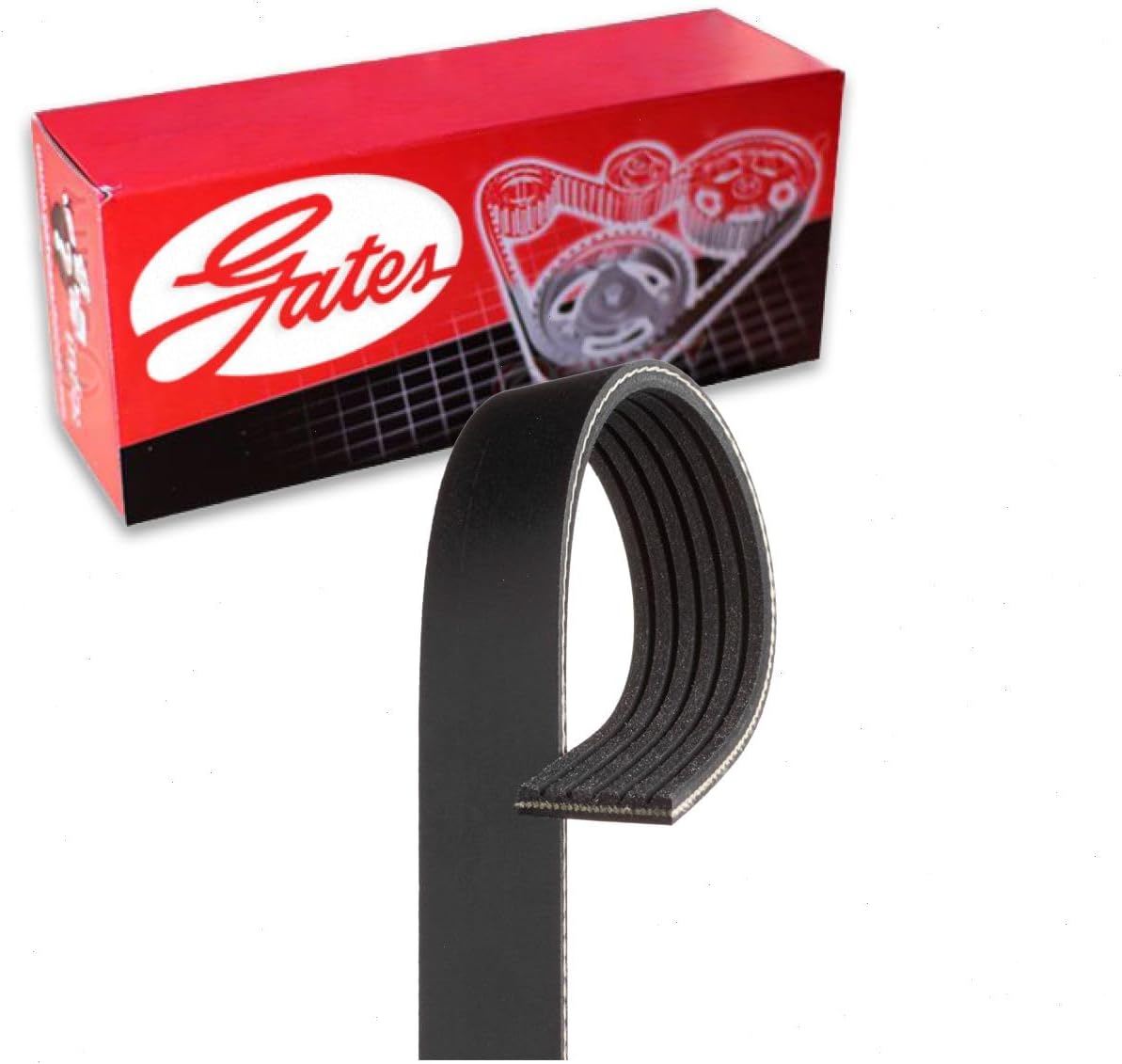 Gates Micro-V Serpentine Belt compatible with Jeep Grand Cherokee 3.6L V6 2016-2020