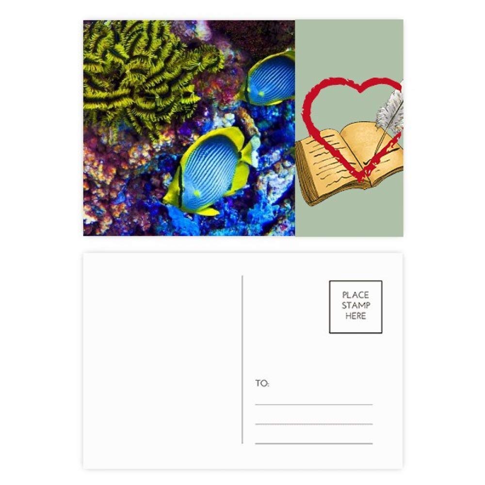 Ocean Colorful Fish Science Nature Picture Diary Day Lot de 20 cartes postales de remerciement