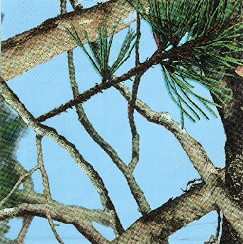 Light Blue Camo Beverage Napkins (Next Vista Camo, Cocktail Napkins, 16 Pack) Light