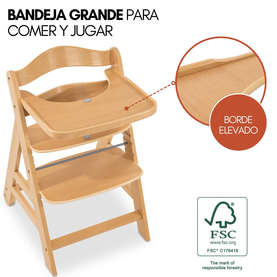 hauck Alpha Move Newborn Set de Trona Bebe Evolutiva con Nueva Hamaca Premium, Tronas de Bebe desde el Nacimiento con Ruedas, Hamaca Bebe, Bandeja y Cojín - Natural/Gris oscuro