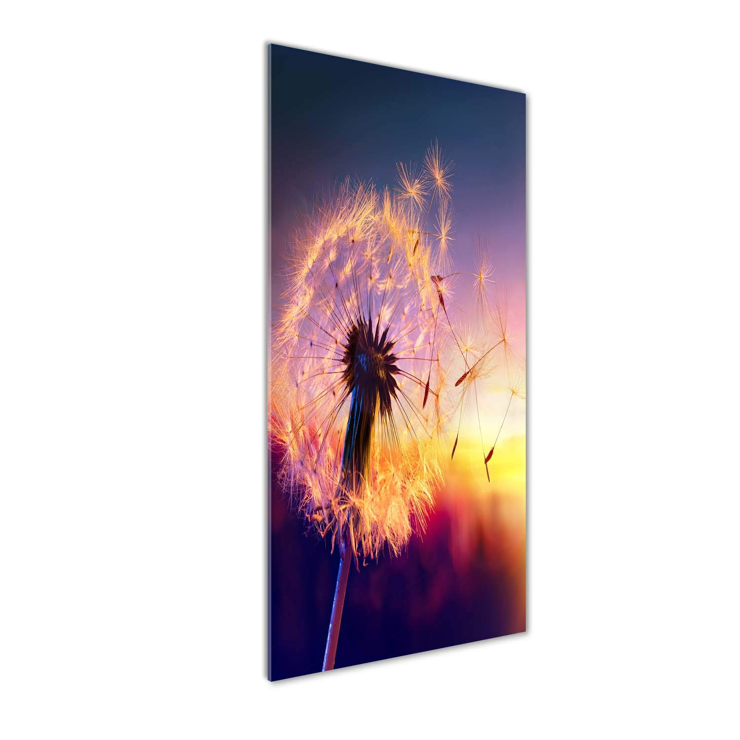 Tableaux pour la mur Tulup grand format 50x125 cm image pissenlit jaune