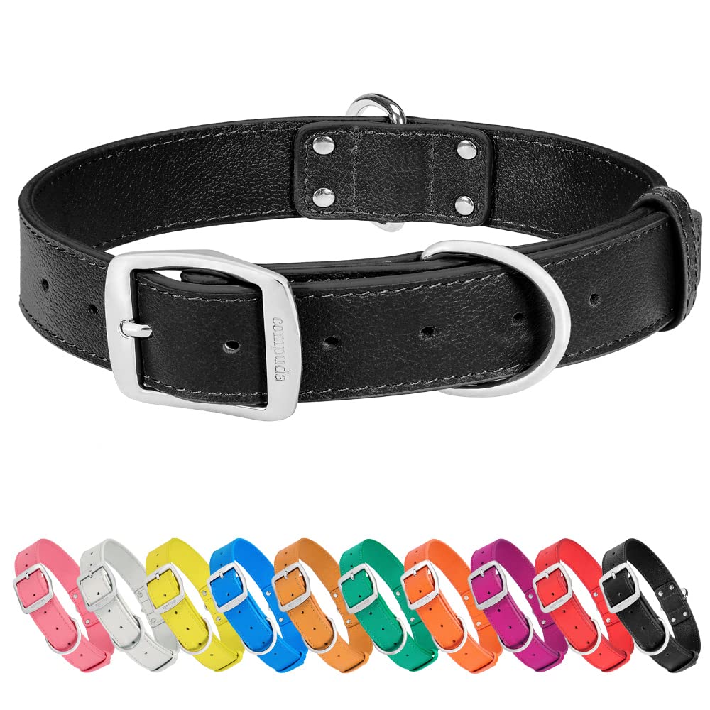 Are Dog Collars Bad For Dogs