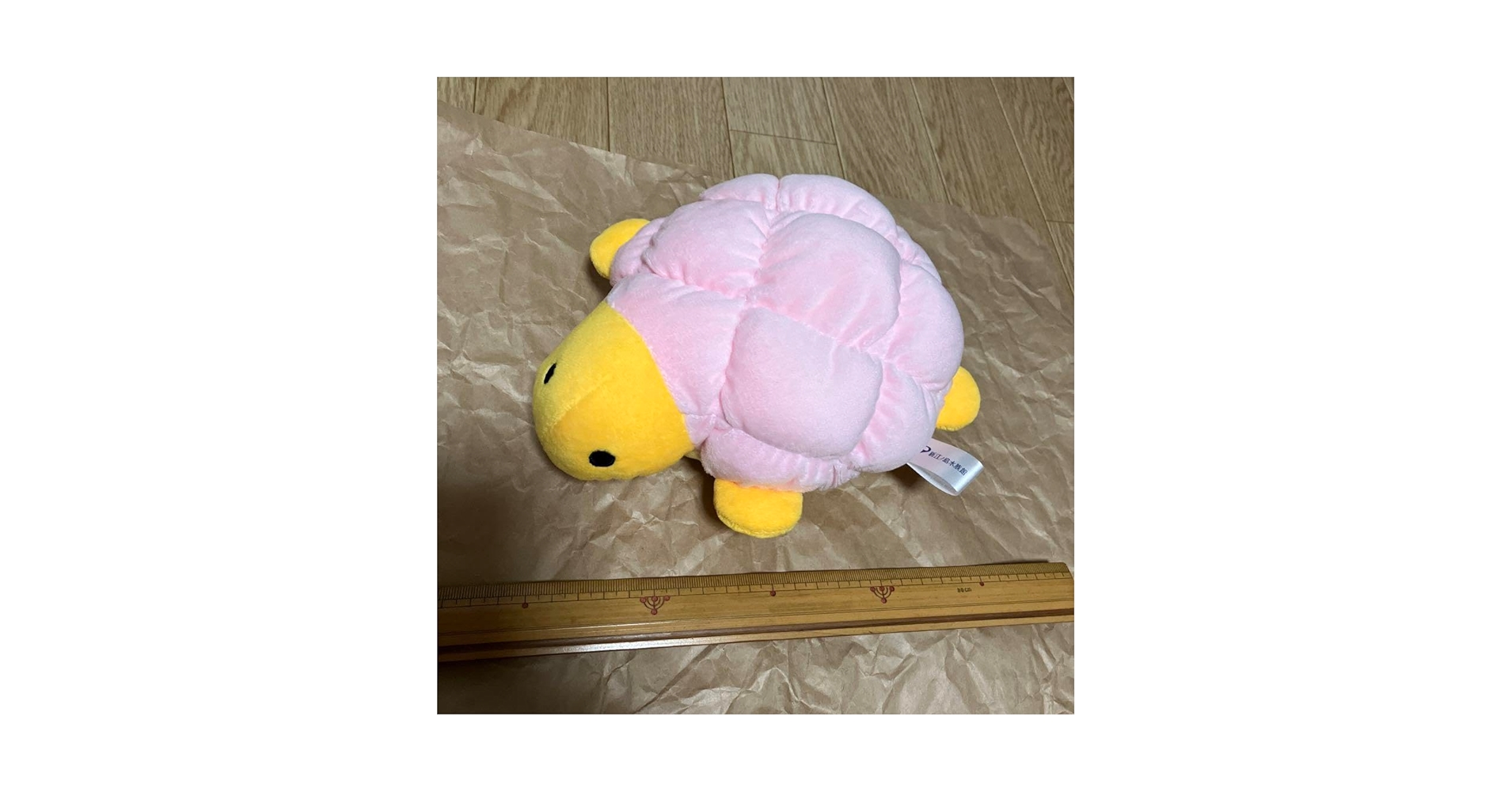 Amazon.co.jp: くじ カメロンパン 3等 ぬいぐるみ えのすい 新