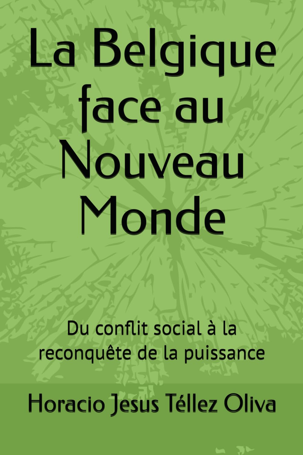 La Belgique face au Nouveau Monde: Du conflit social à la reconquête de la puissance