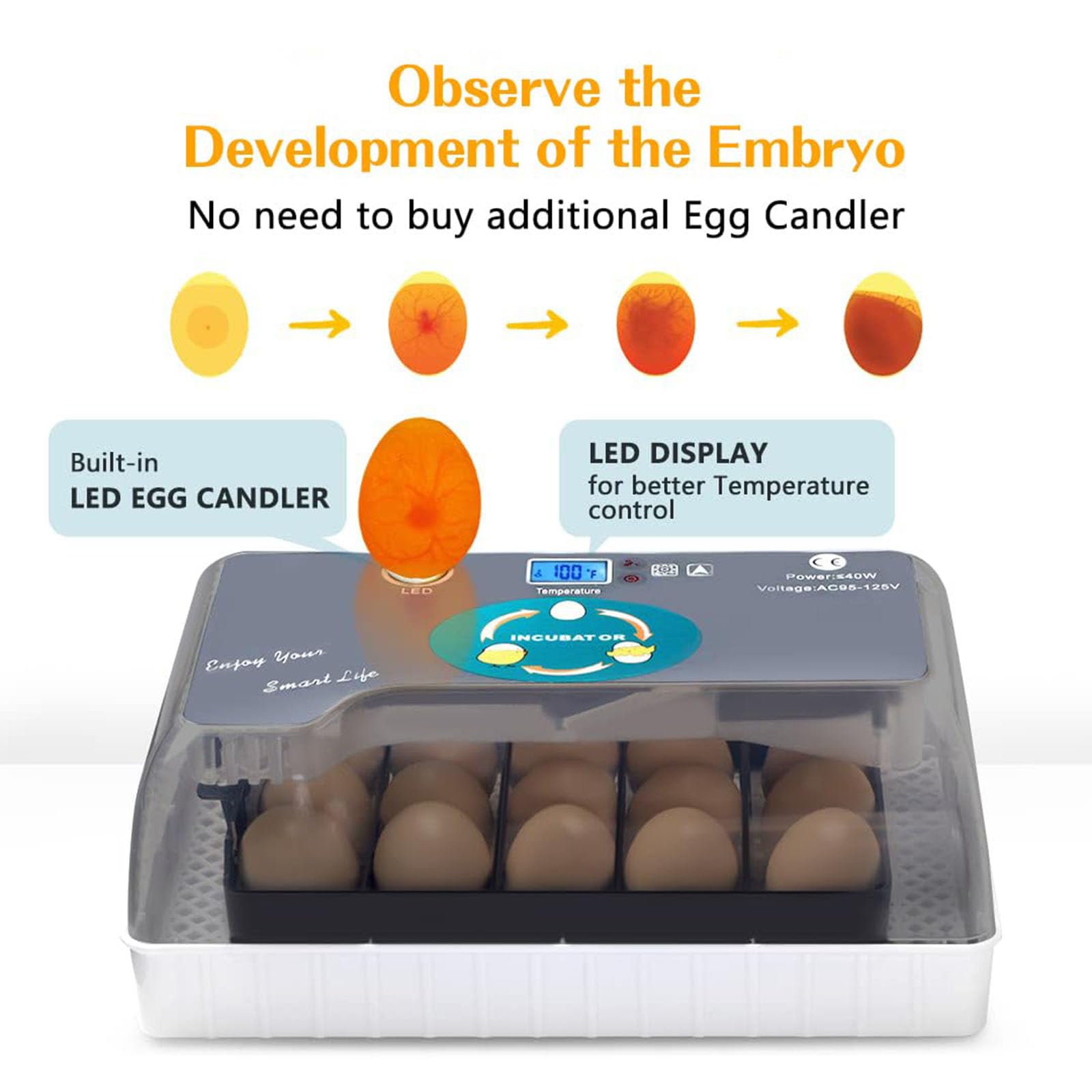 Incubadora automática de huevos para 12 huevos, incubadora digital con giro de huevos para incubar pollos, patos, gansos, codornices y otros pájaros
