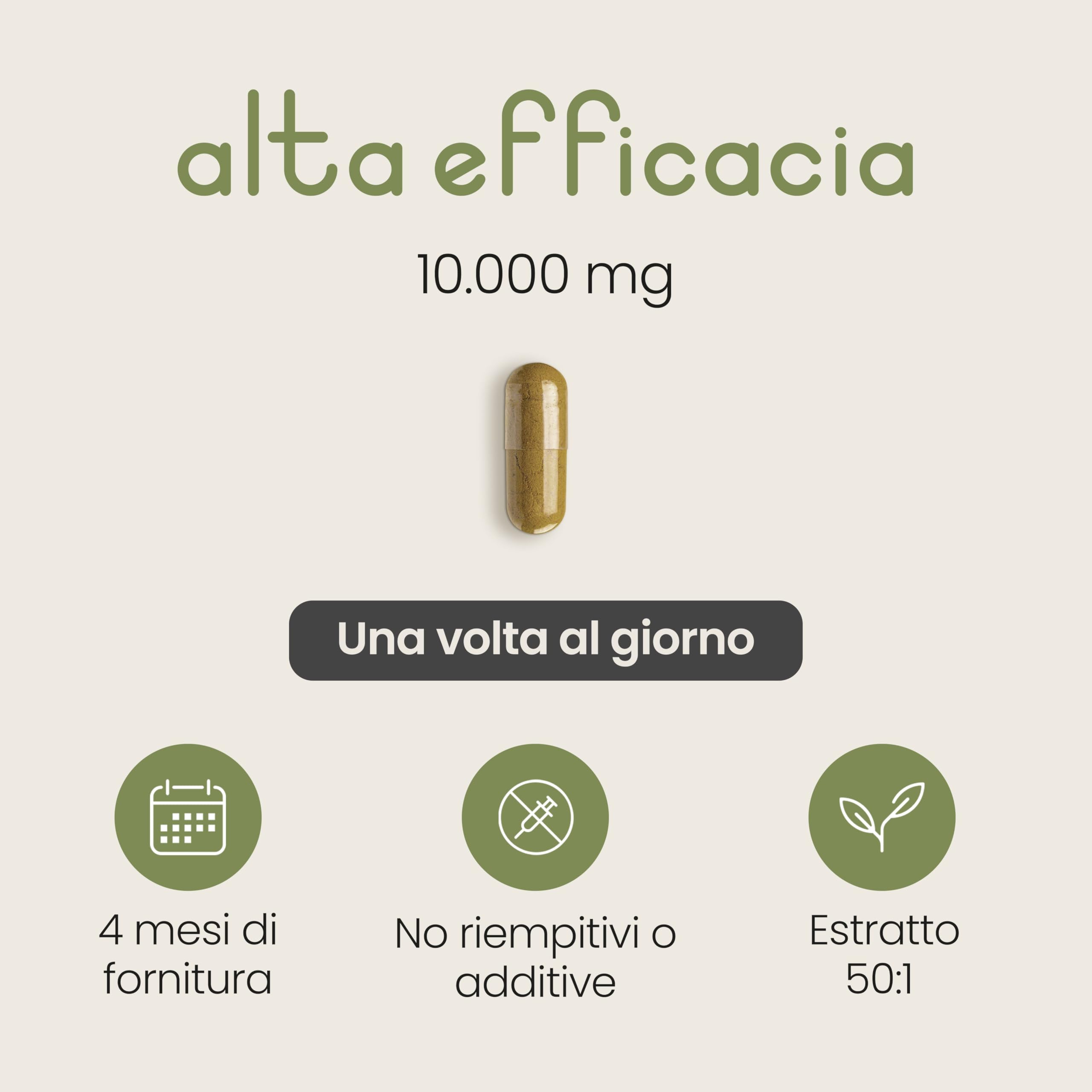 Capsule di Moringa Pura | Alto Dosaggio 10.000 mg | 4 Mesi – 1 al Giorno | Senza Additivi | Capsule di Superalimento Vegano in Polvere | Estratto Puro di Foglia di Moringa | VitaBright