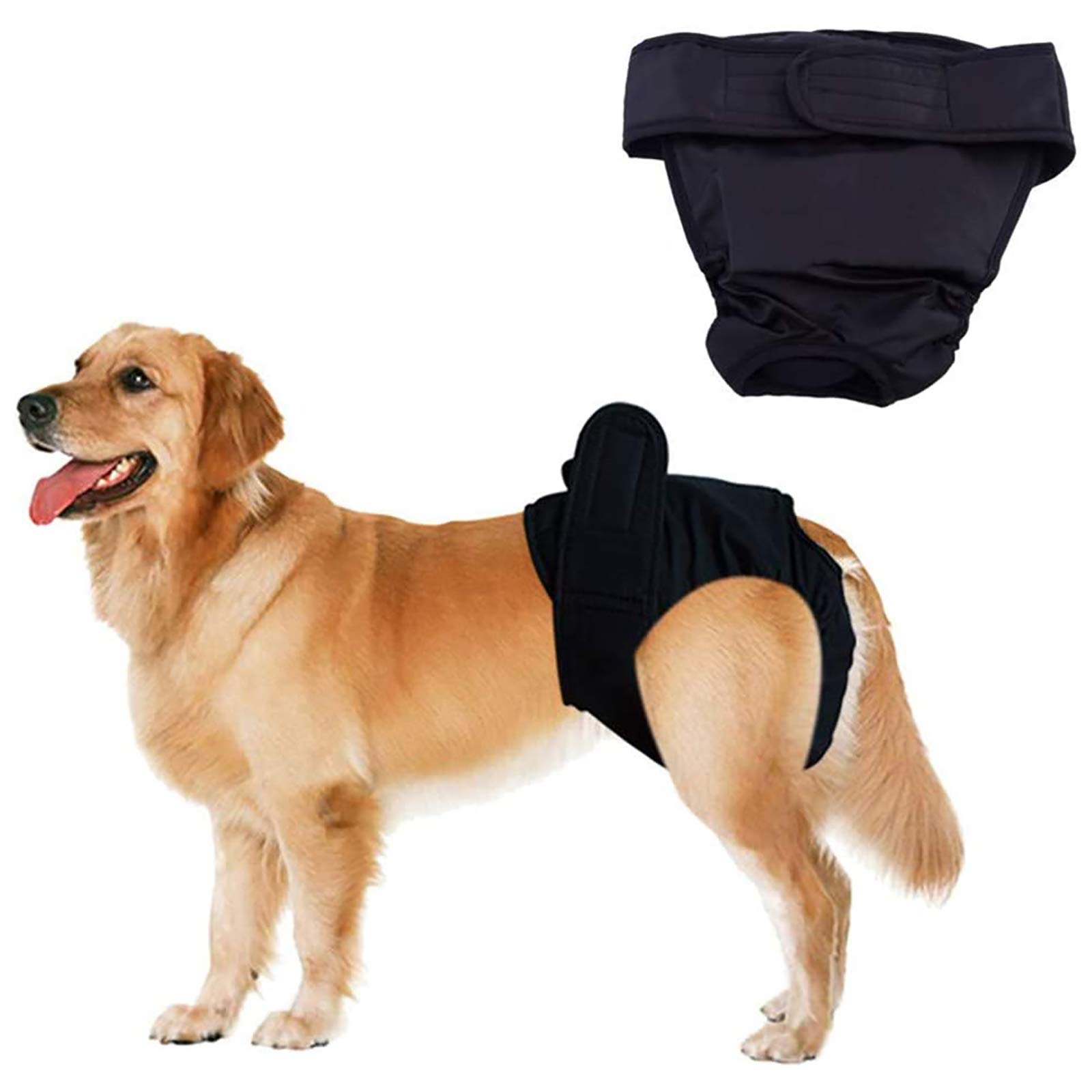 Couche pour chien XL anti-fuite : culotte pour chiennes en chaleurs et mâles
