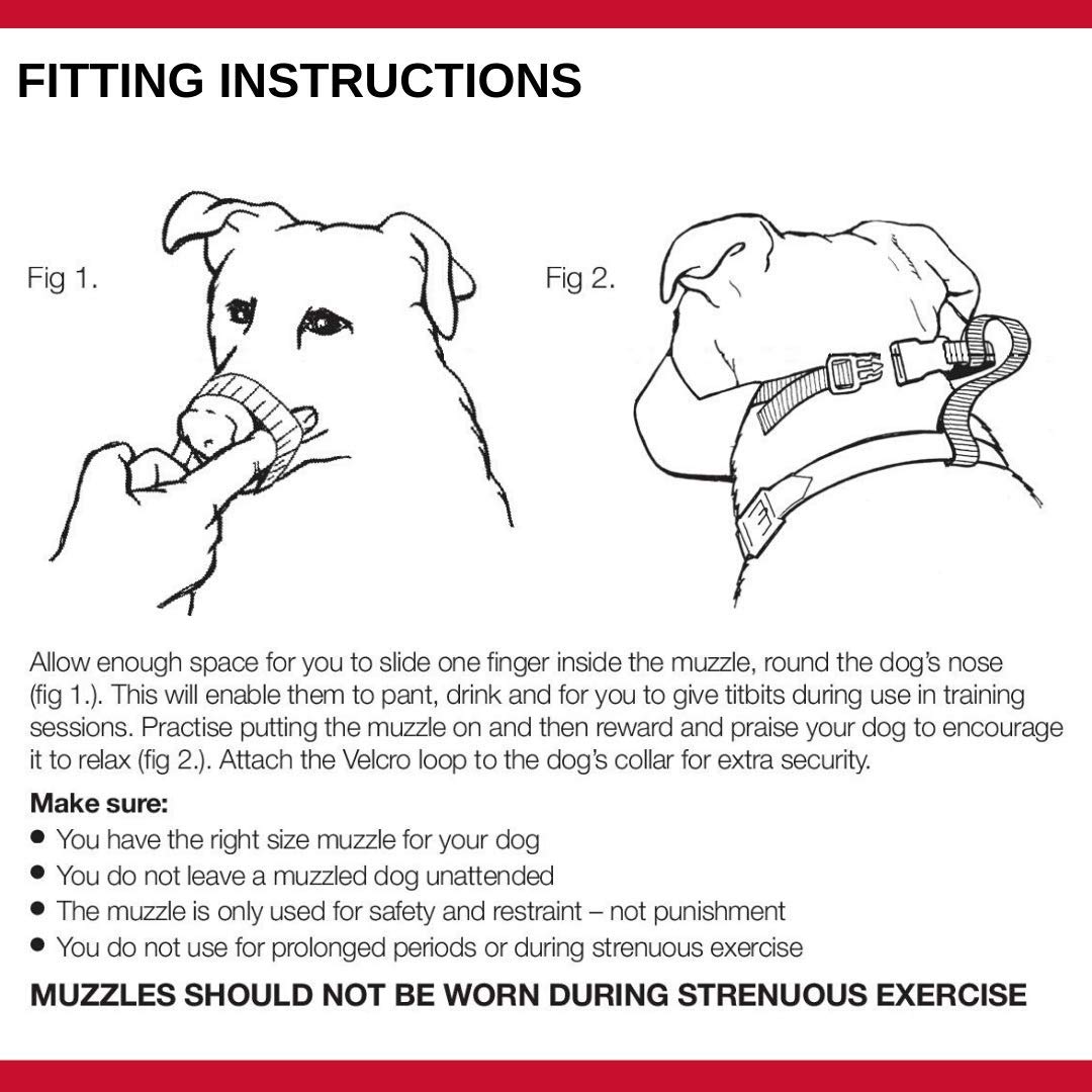 Mikki Muselière de dressage pour chien Taille 3