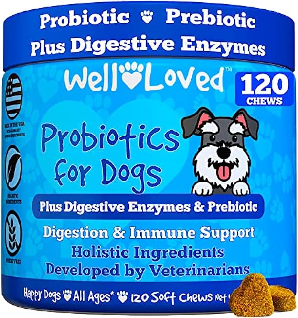 Probiotics for Dogs, Dog Probiotics, Made in USA, Vet Developed for Gut Health, Yeast Balance, Itchy Skin, Diarrhea & Gas Relief, Chews with Prebiotic & Digestive Enzymes, Digestive Support-6nyYGWSk