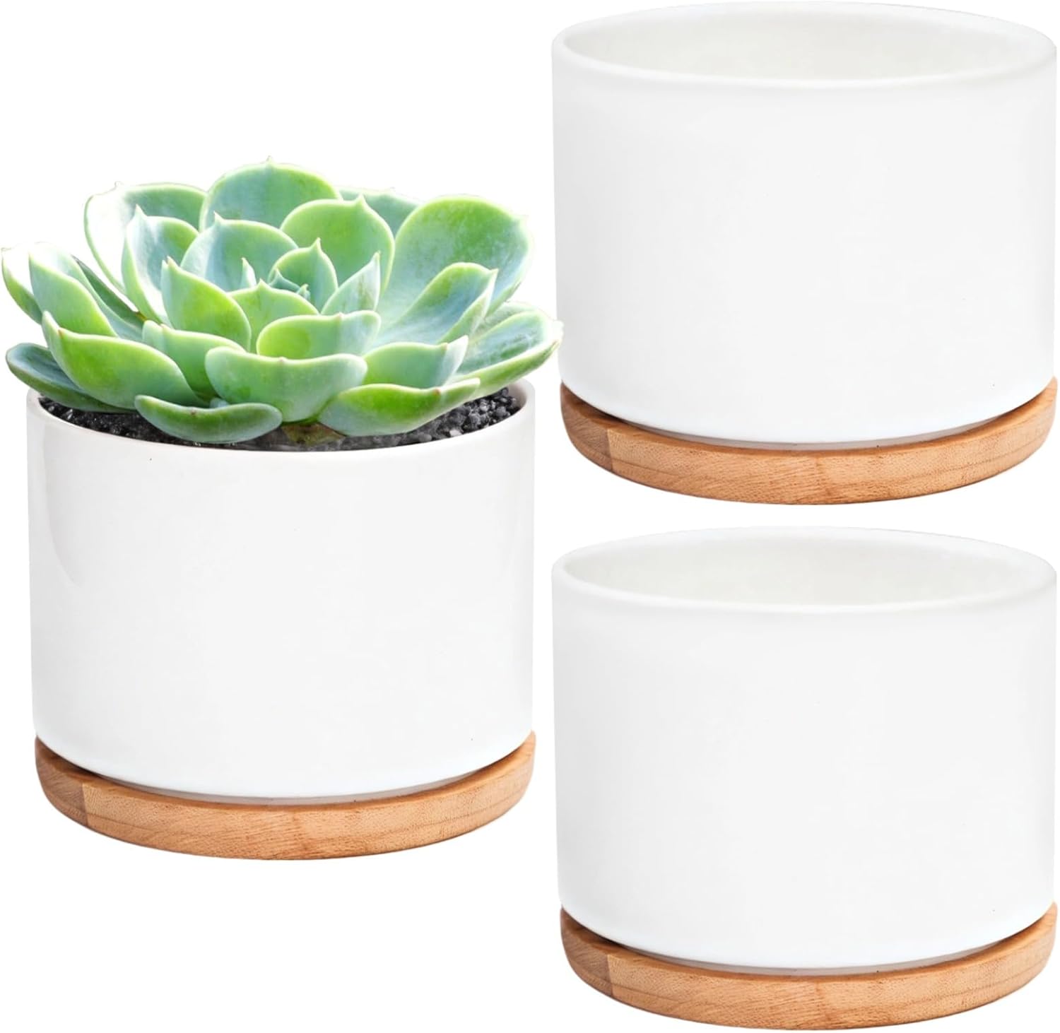 Tabletop Display for 3 Pcs White Round Pots with Bamboo Trays, Ceramic Succulent, Home Decor
