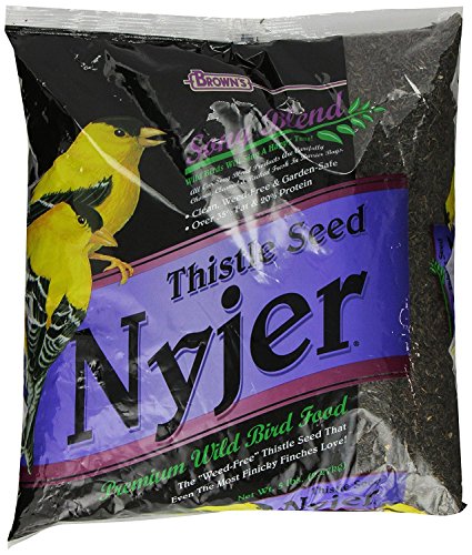 F.M. Brown's Song Blend Nyjer Thistle Seed for Pets, 5-Pound