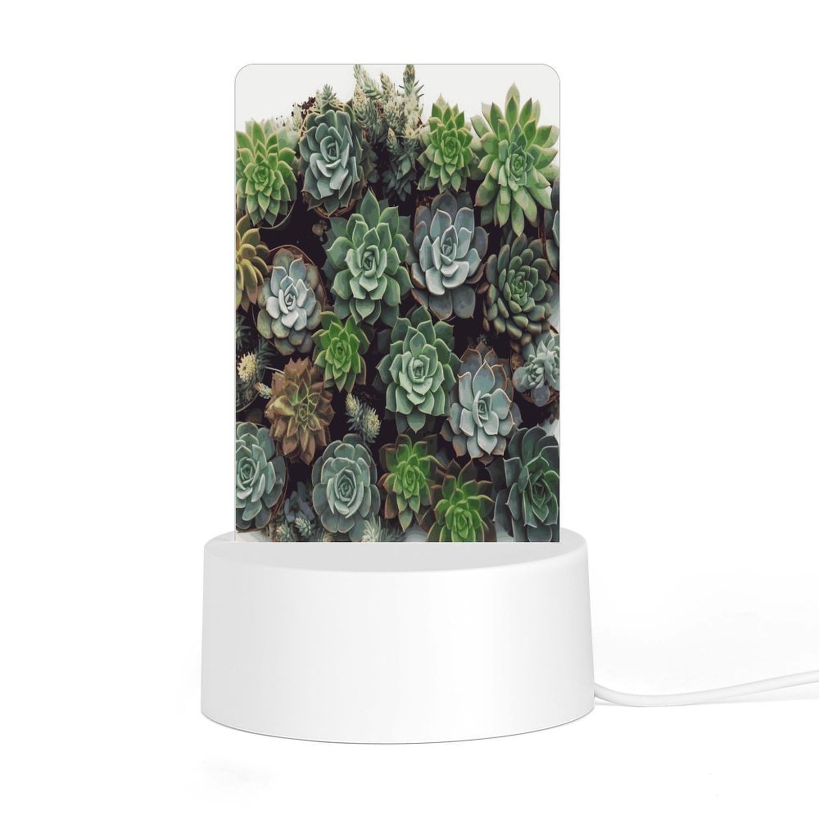 Adfgyerh Style Succulent Plants Night Light Acrylic Material Easy Installation, Home Decor Usb Interface Power Supply, Lamp For Restaurant Bar Cafe Room Decor