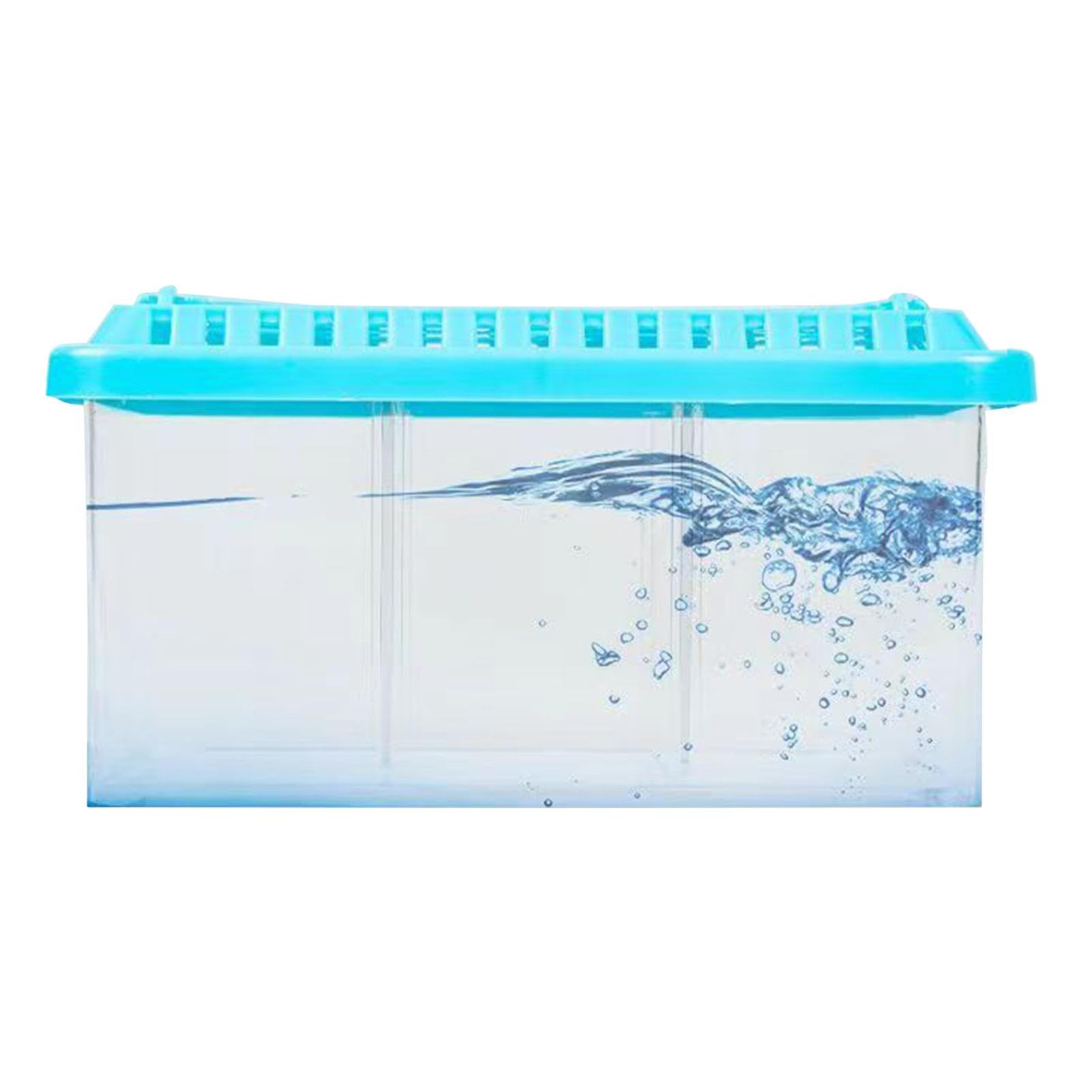 Pequeña pecera Betta, Acuario Betta - Peceras con divisores extraíbles | Kit de iniciación de Acuario Ornamental con diseño de múltiples Compartimentos para pecera pequeña para el hogar