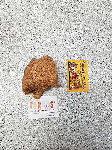 TORGAS | Kauwurzel | Größe S