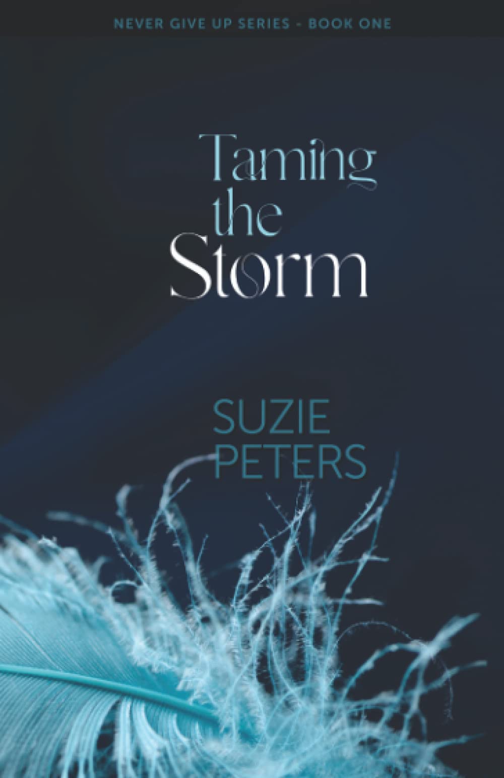 Taming the Storm: 1 (Never Give Up)-Suzie Peters