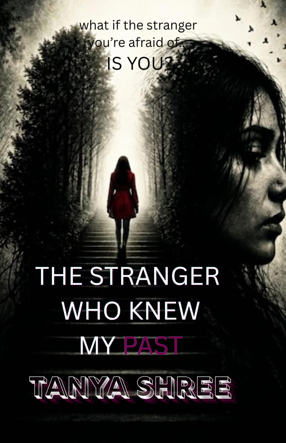 THE STRANGER WHO KNEW MY PAST