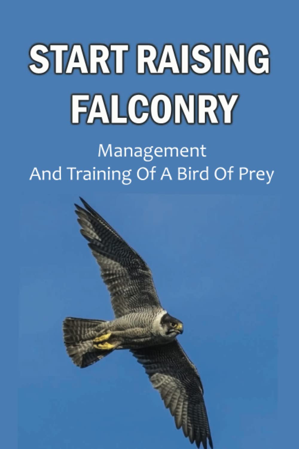 Start Raising Falconry: Management And Training Of A Bird Of Prey
