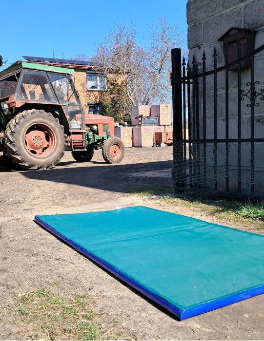 PROS Tapis de désinfection pour chaussures Tapis de désinfection des semelles de chaussures Tapis de sol d'entrée