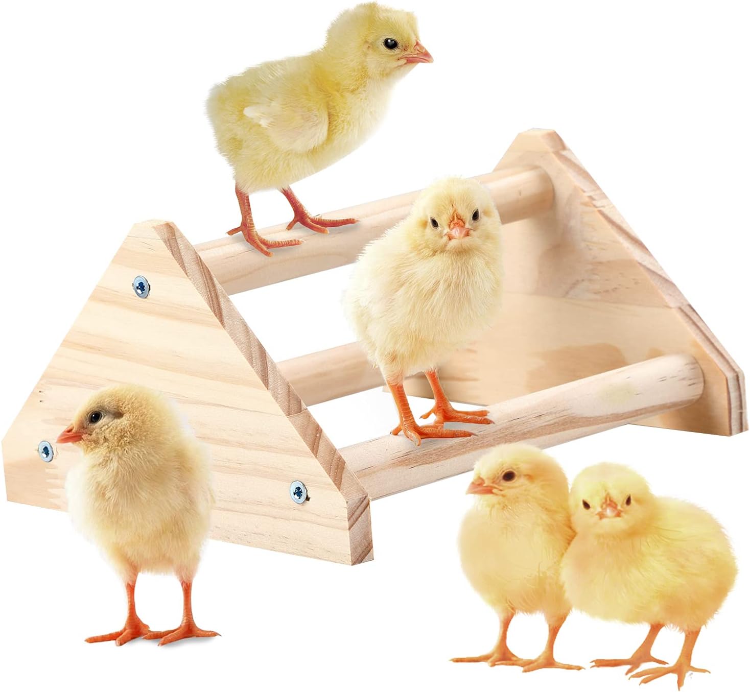 GINTUTO Chicken Perch Strong Pine Wooden Chick Jungle Gym Roosting Bar, Chick Perch Toys for Coop and Brooder for Large Bird Baby Chicks Parrot (Small)