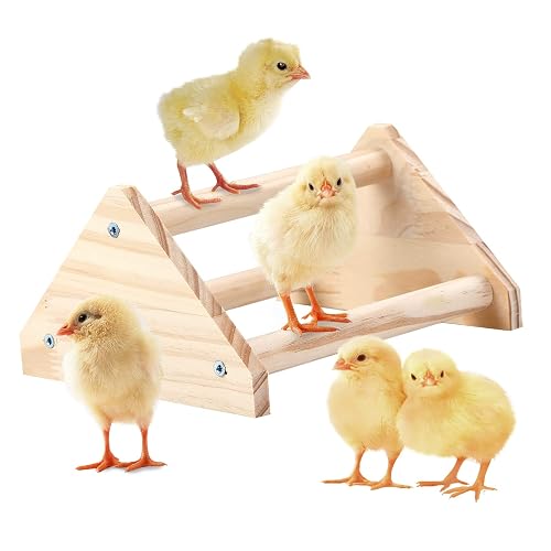 Wooden Chick Perch Stand, Pine Chicks Roosting Bar, Jungle Gym