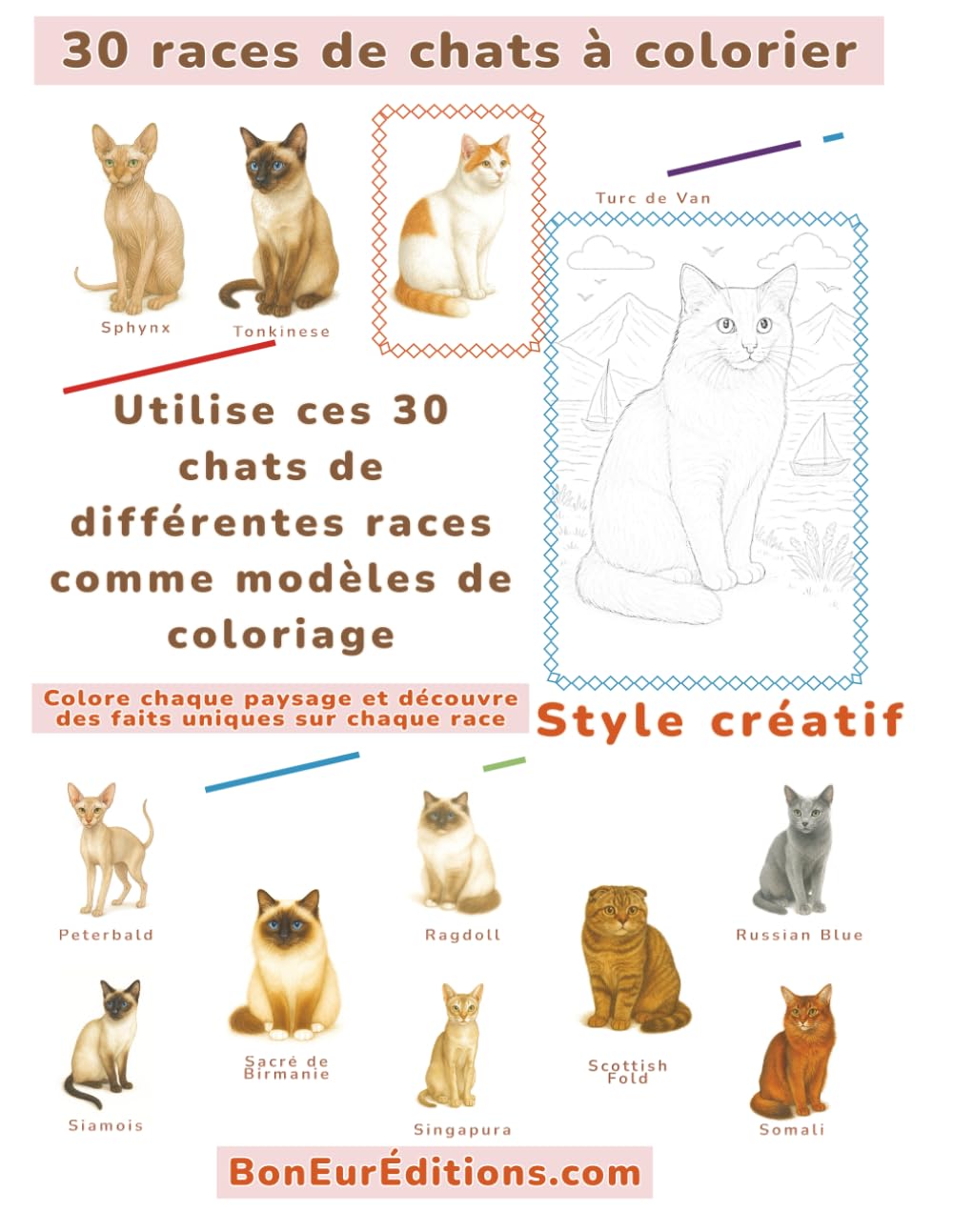 30 races de chats à colorier: Coloriage style créatif