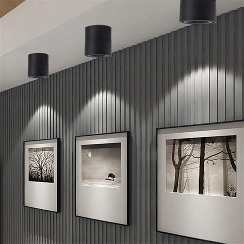 Miniatura 3 de Foco de techo LED  Lámpara de pared ajustable de 360 de techo Downlight 10W COB Iluminación LED lámpara de pared o foco blanco frío 6000 K  blanco