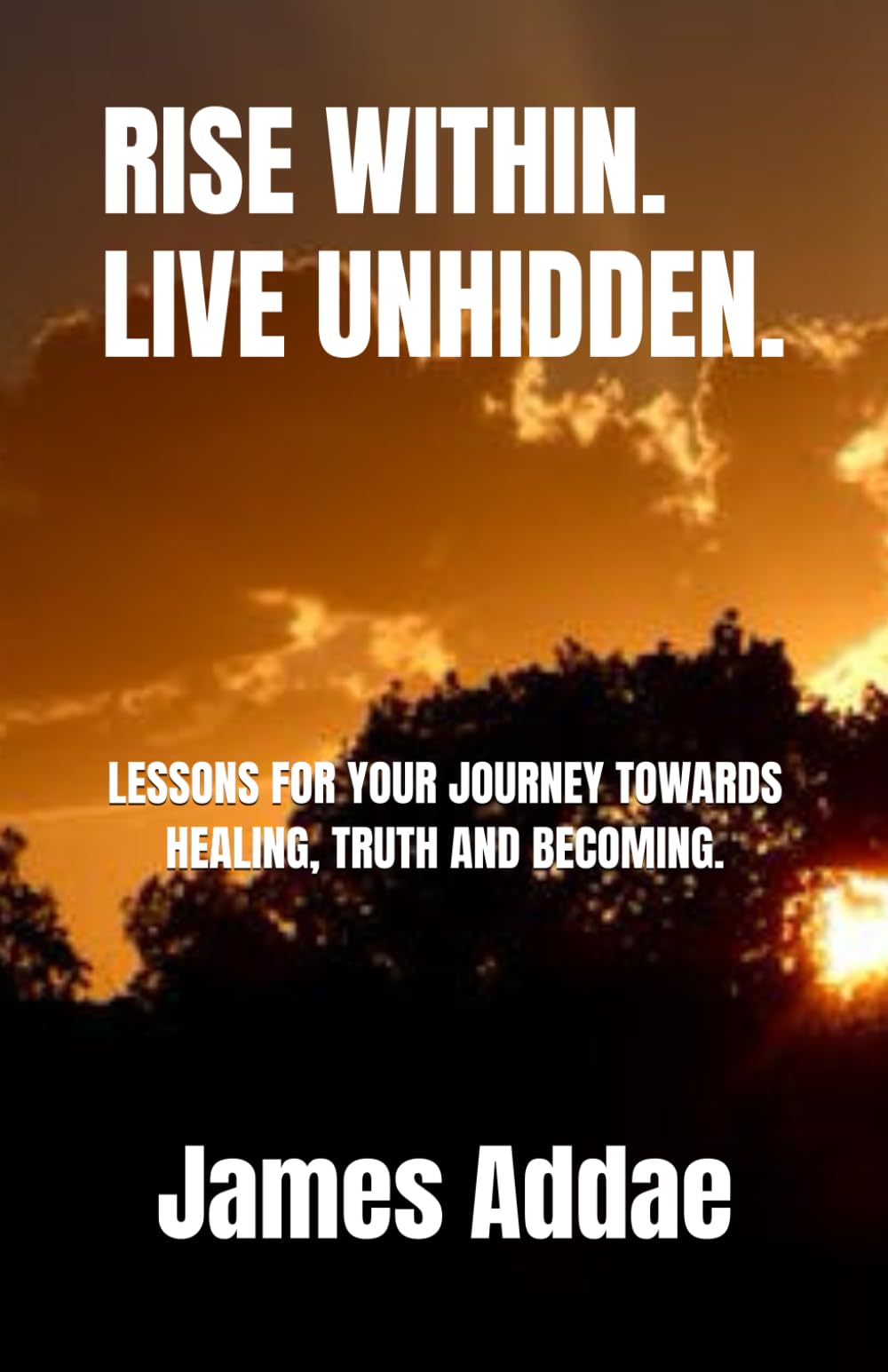 Rise Within. Live Unhidden.