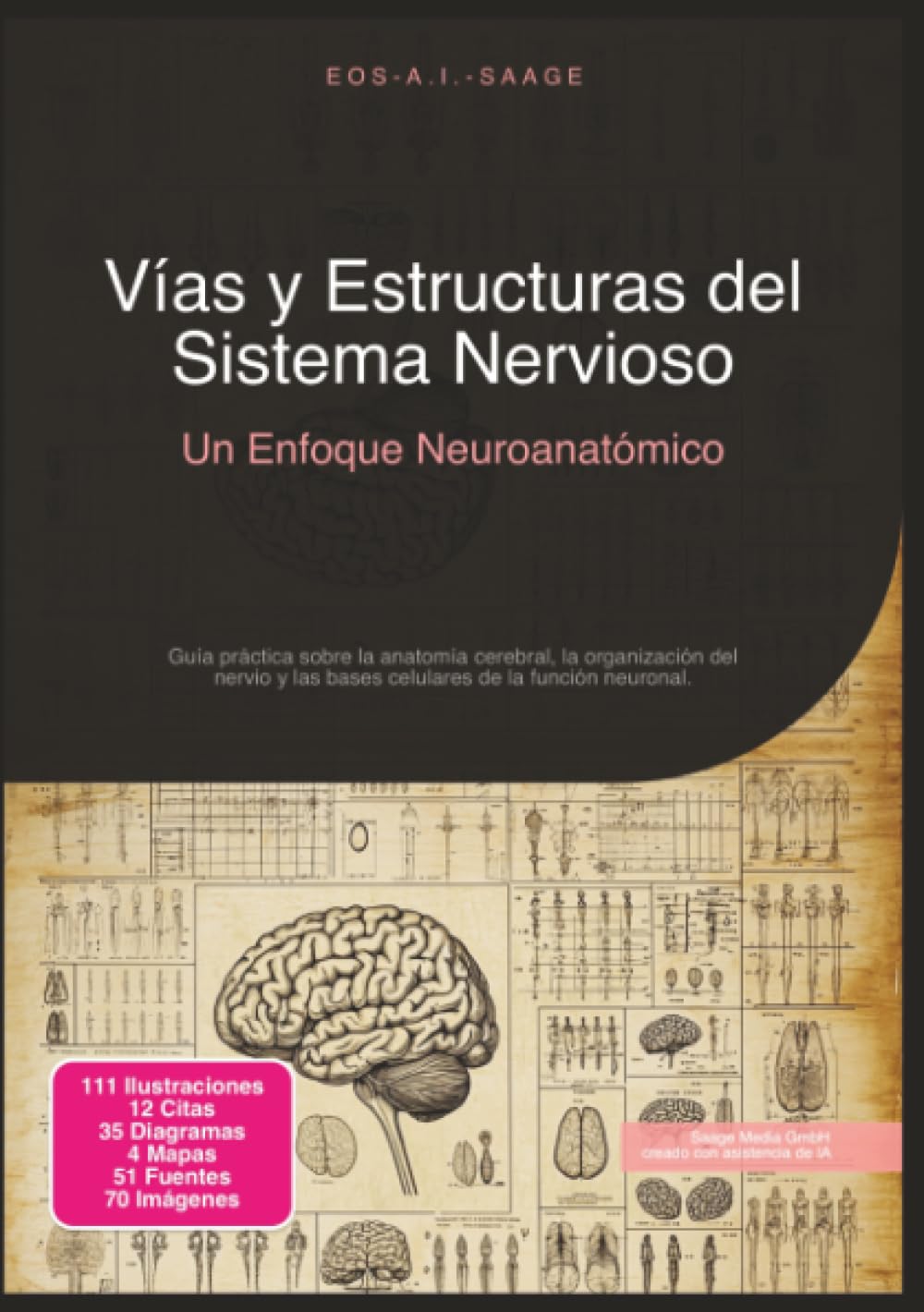 Vías y Estructuras del Sistema Nervioso: Un Enfoque Neuroanatómico (Anatomía)