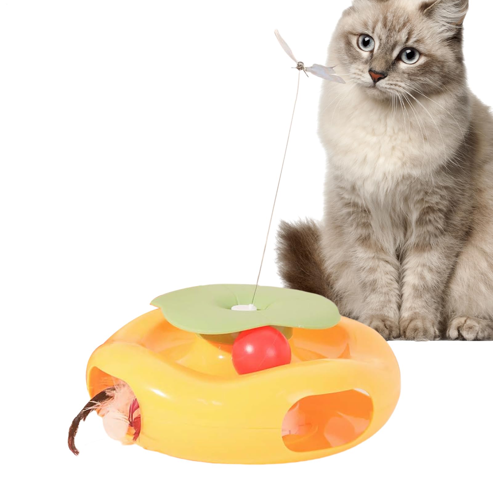 Jouet automatique pour chat pour occuper un chat d'intérieur qui s'ennuie