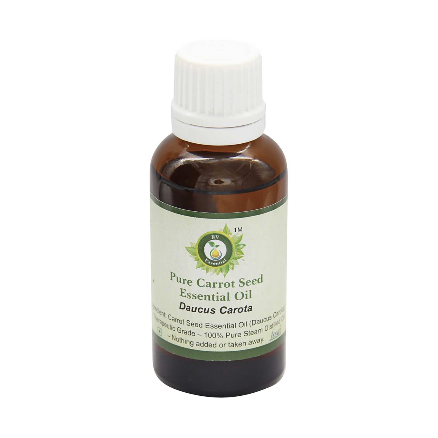 R V Essential Pure Carrot Seed Essential Oil 100ml (3.38oz)- Daucus Carota (100% Pure and Natural Therapeutic Grade)