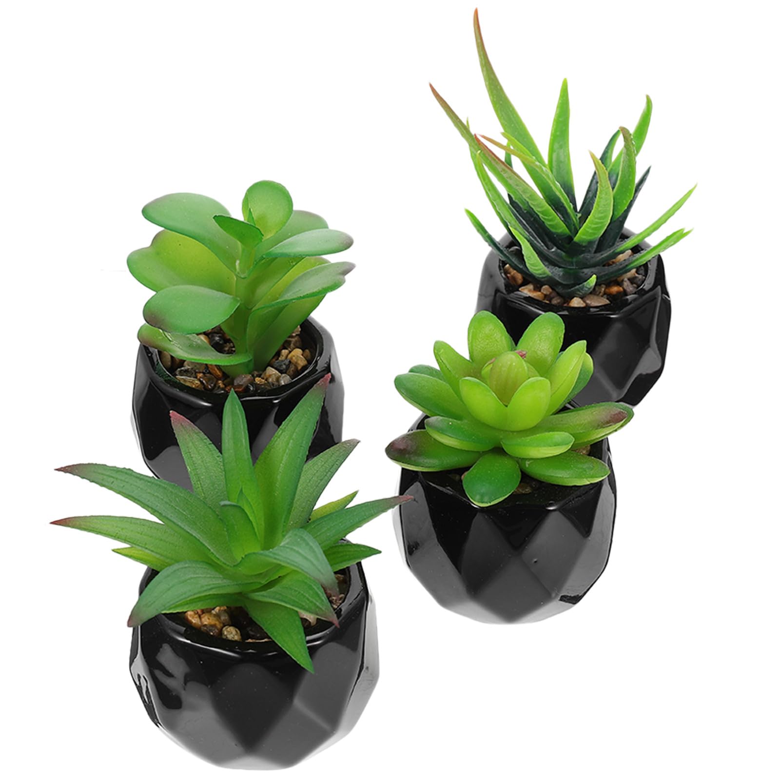 Homoyoyo Plante Ornementale Succulente en Pot, Lot de 4, Décoratif Noir
