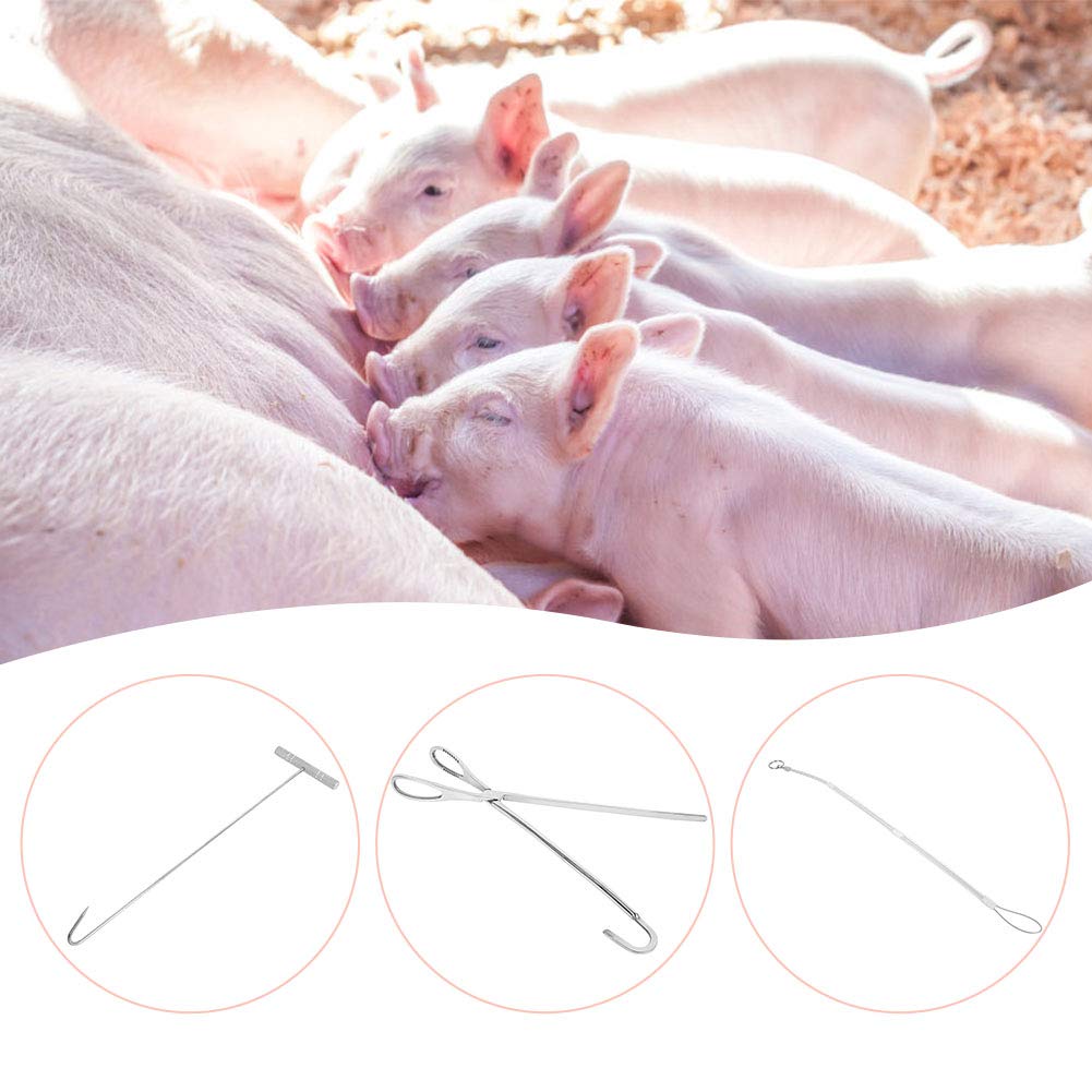 Gancio per ostetricia veterinaria in Acciaio Inossidabile Gancio a Pinza Attrezzatura per Allevamento di suini Strumento per Bestiame
