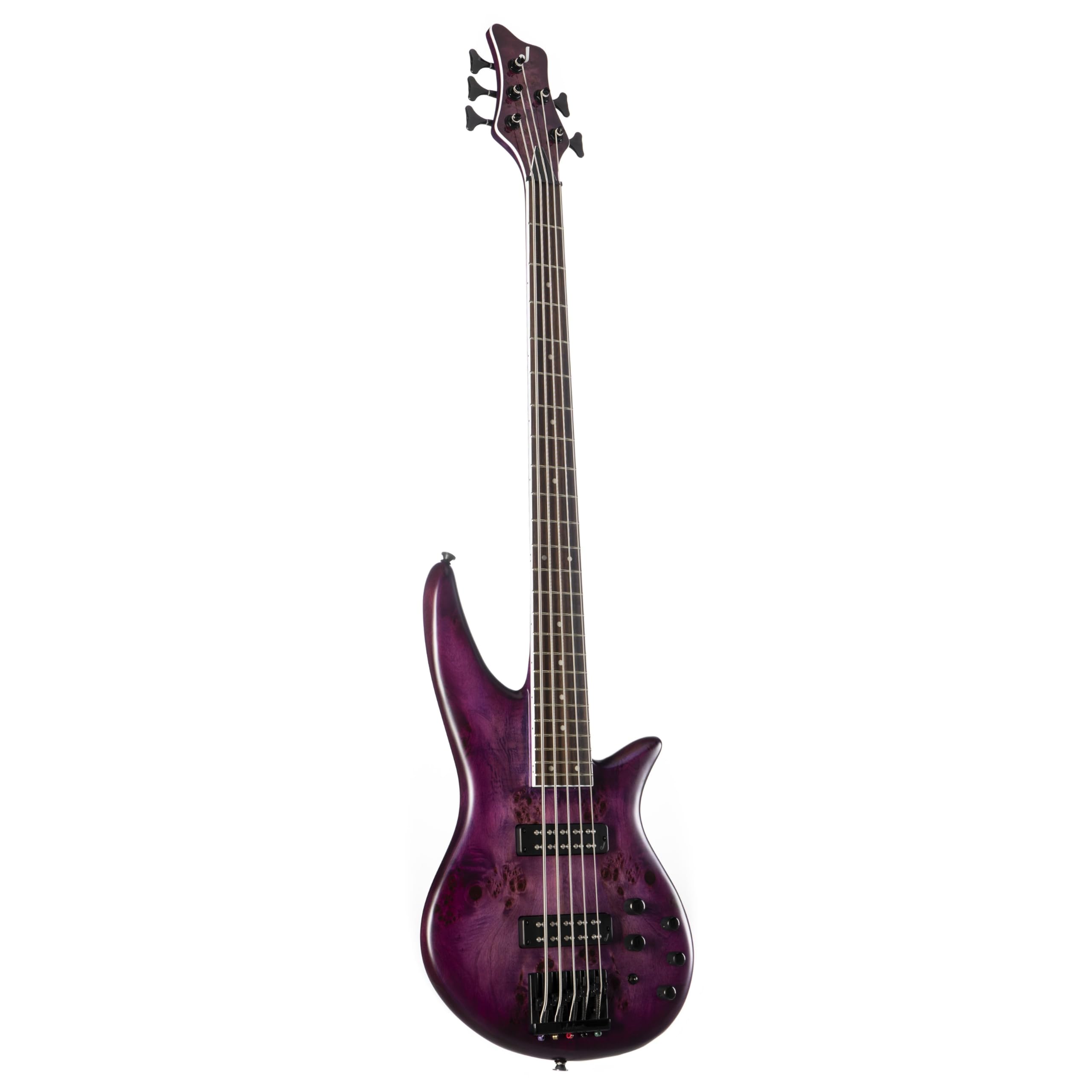 Amazon.com: Jackson X Series 5-String Spectra Bass SBXP V