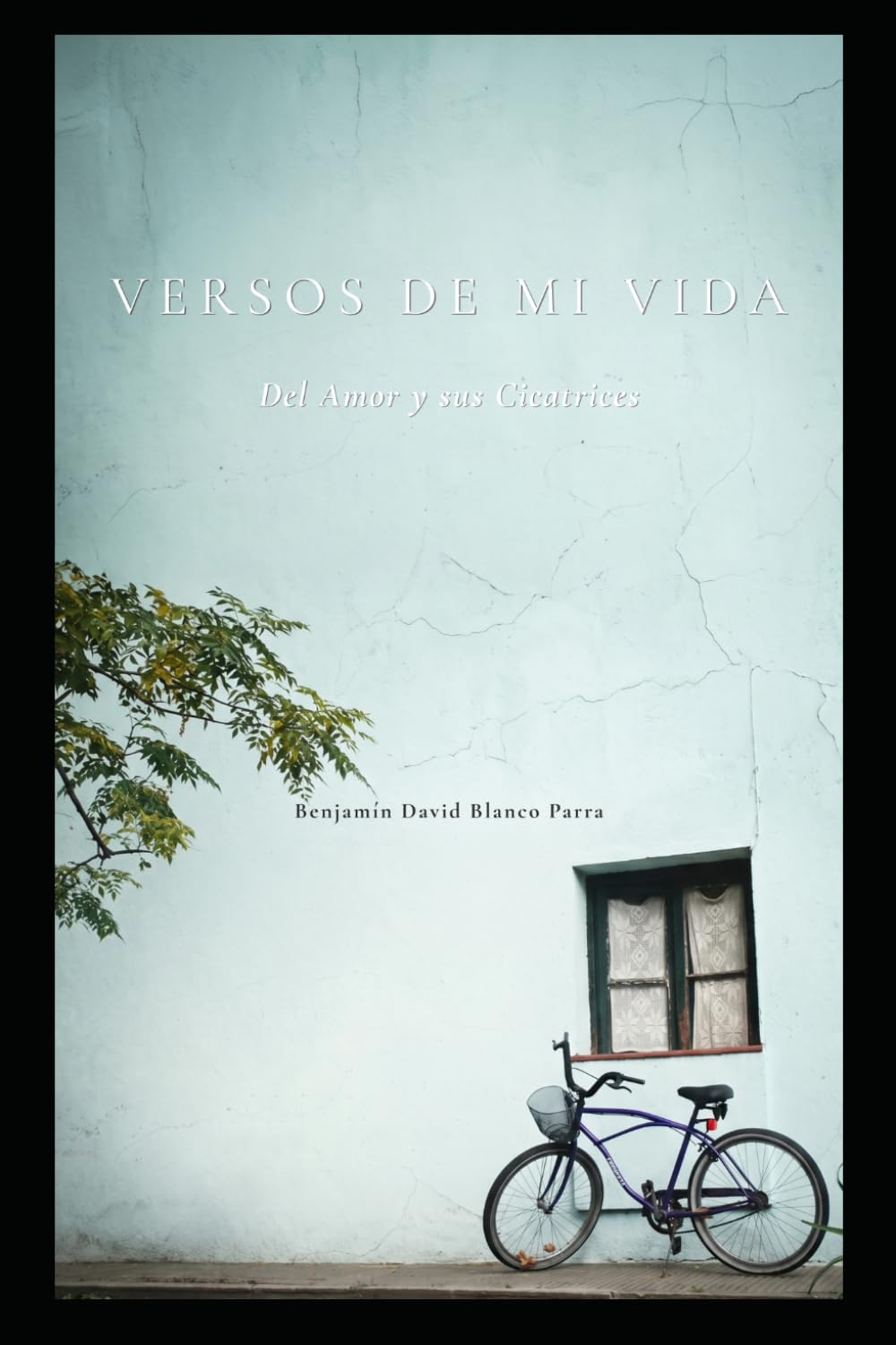Versos de mi Vida: Del Amor y sus Cicatrices