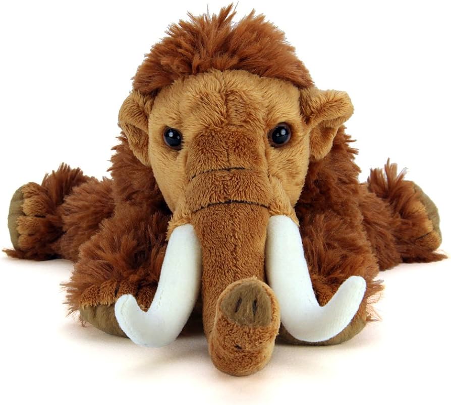 61p7xcx-xVL._AC_UF894,