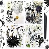 Pressed Flowers Bulk Dried Flower for Resin Mold, Dried Flower Leave Natural with Tweezer for Crafts Christmas DIY Gift Scrapbooking(Simple Style)