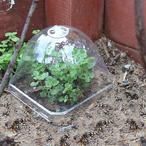 GANAZONO 15pcs Garden Cloche Dome Reusable Plant Protector Cover Dome Covers Plant Bell Cover for Outdoors Plants 7 * 7cm - Image 2