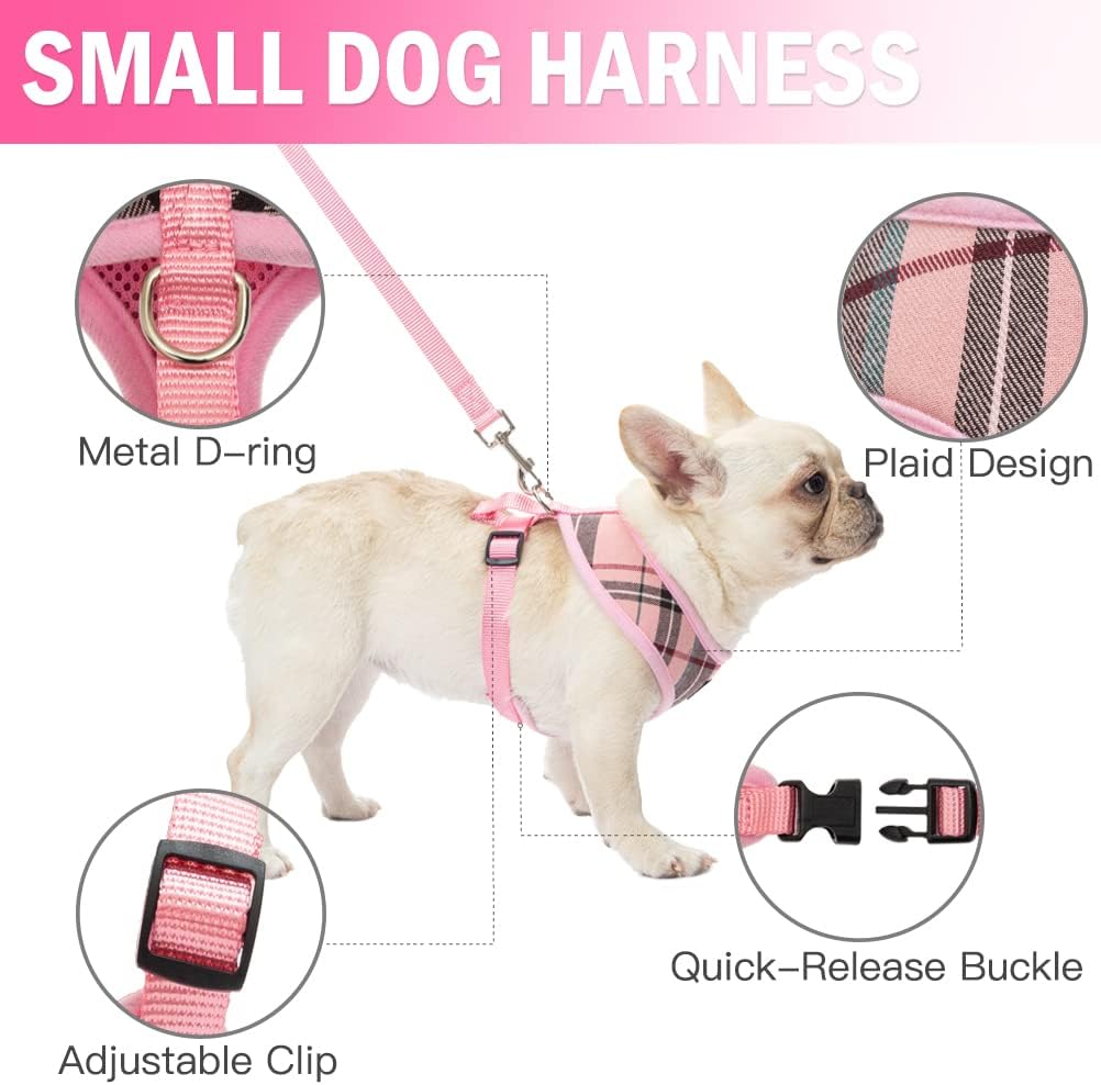 PUPTECK Soft Mesh Dog Harness Leash with 2 Pack Collars Set