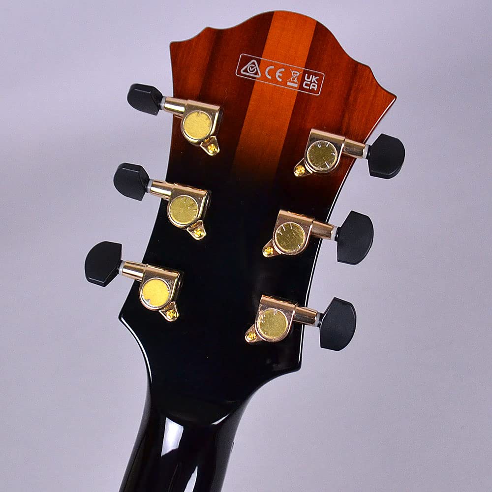 Amazon.co.jp: Ibanez AFC151-TBC [Fulako] [Shimamura Musical