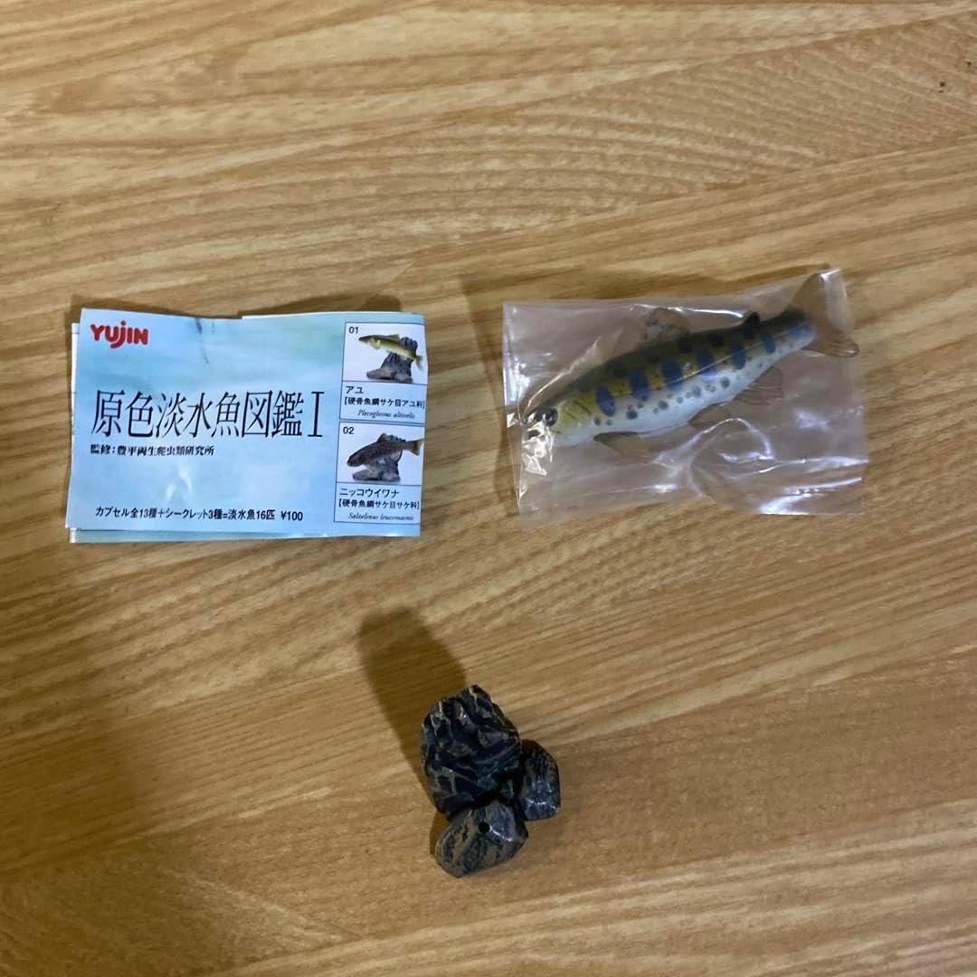 【未使用】YUJIN 原色　淡水魚図鑑Ⅰ 改訂版　17種 原色淡水魚図鑑I （改訂版） 【YUJIN】