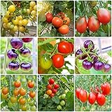 Semillas Tomate Tomates Para Plantar,Lycopersicon Esculentum,Serie De Plantas Raras,Cultiva Tus Propias Verduras Con Semillas Huerto Ecológicas - Tomate, Pimiento Y Berenjena 100 piezas