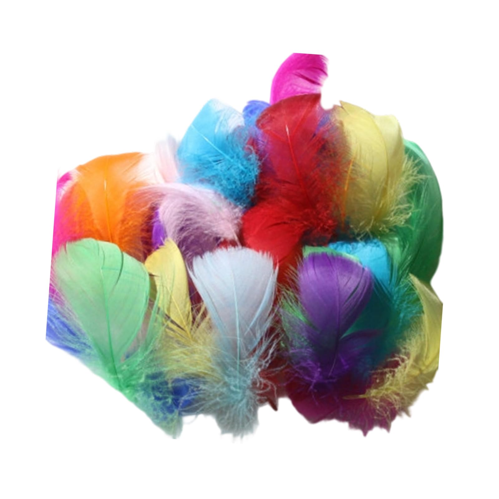 Tsophreniq 300Pcs Delicate Plumage Embellishments for Creative Art Projects Suitable for Clothing Jewelry and Scrapbooking Stage Costume Quills