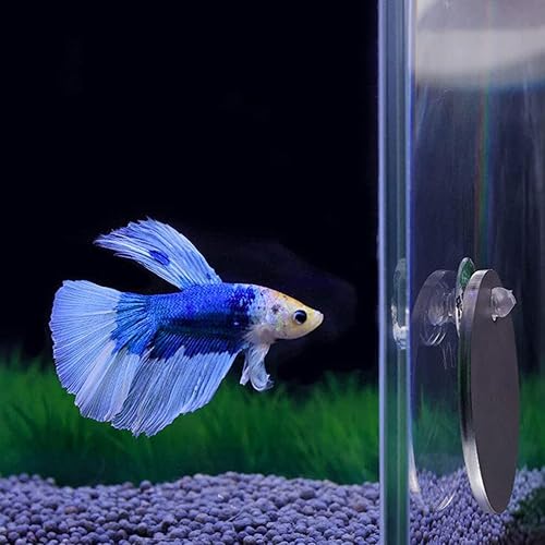 Miniatura 7 de TEHAUX Espejo flotante Betta Espejo Betta, espejo de ejercicio redondo flotante Betta de doble cara de 2.0 in, espejo de entrenamiento Betta