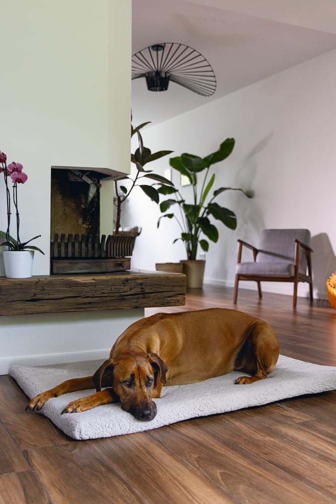 Beeztees Ito, Orthopädisches Käfigkissen, Hundebett, Hellgrau, 121x78x5 cm