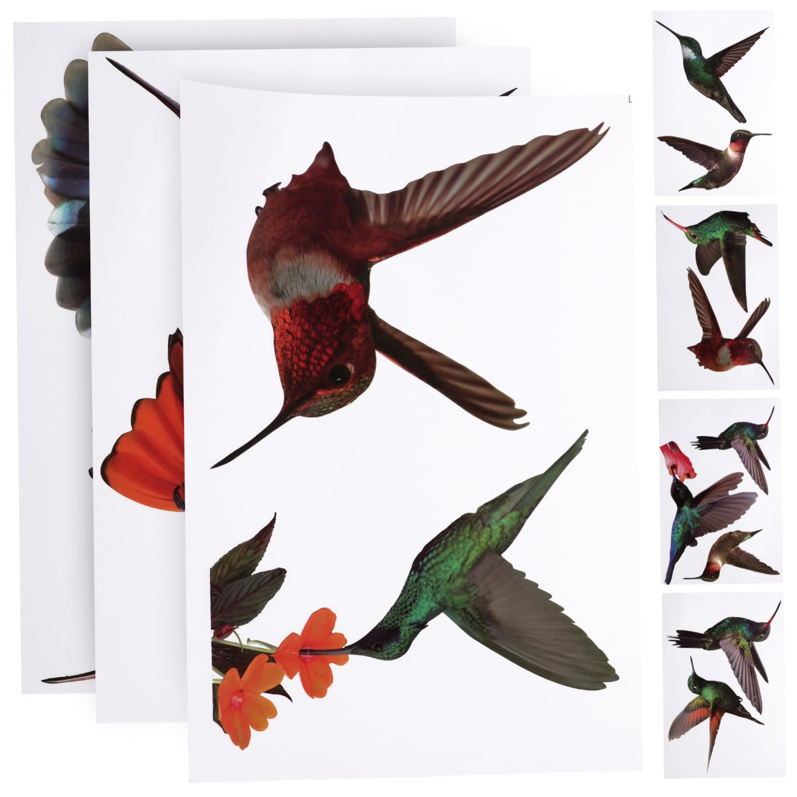 HOMSFOU 21blätter Teiliges Fensteraufkleber Bunten Vogelmotiven Dekorative Wandsticker Für Wohnzimmer Schlafzimmer Küche Und Badezimmer Selbstklebende Abnehmbare Ornamente Für