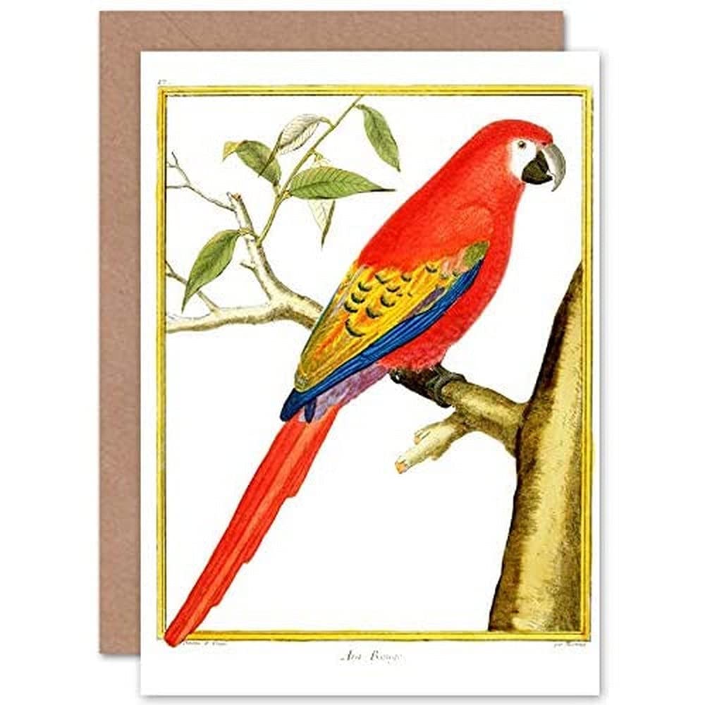 Fine Art Prints Bird Red Parrot Greeting Card With Envelope Inside Premium Quality