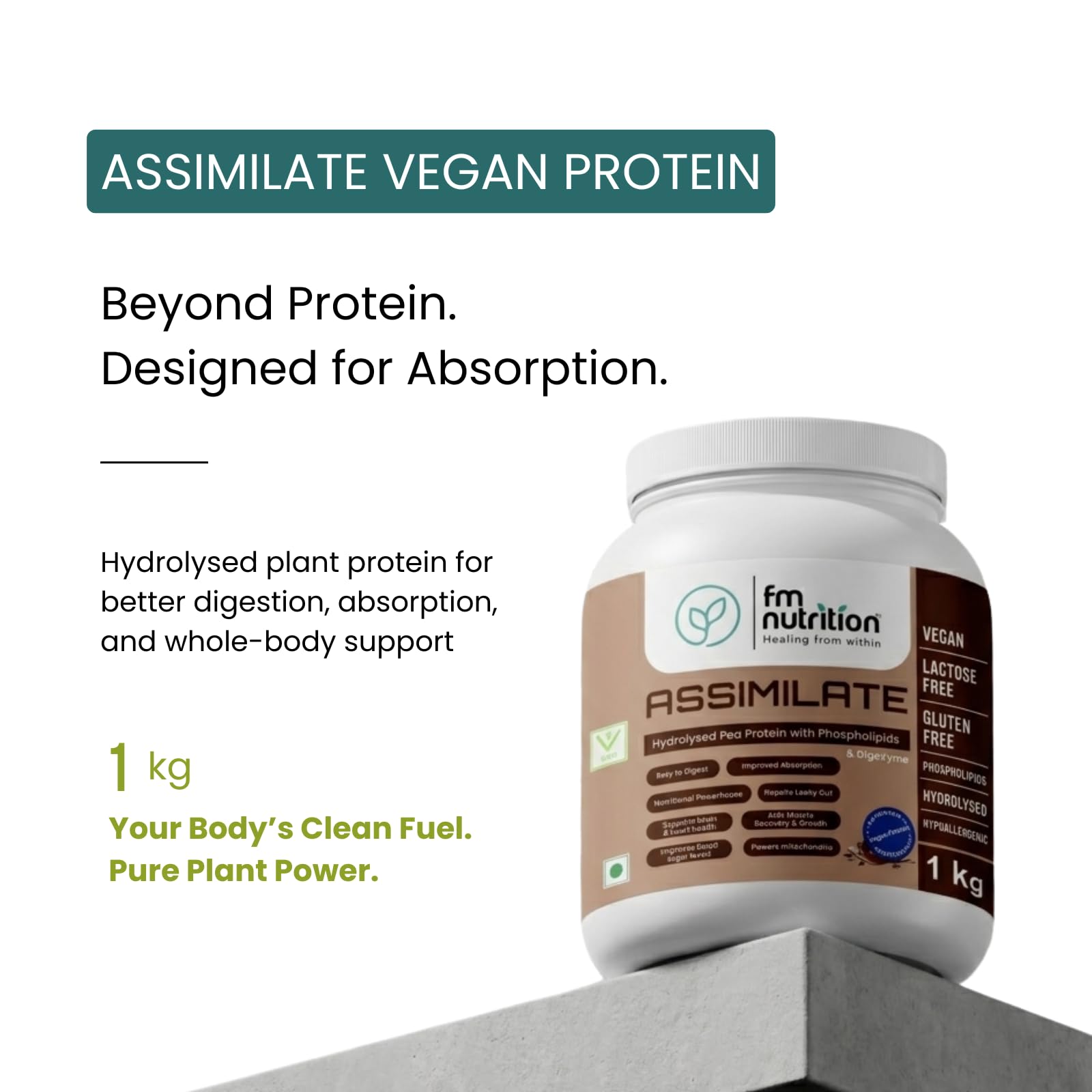 Assimilate Vegan Protein, Hydrolysed Plant Protein, Chocolate Flavour (1 Kg) — Amazon image 4