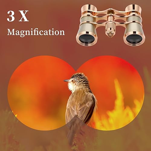 Miniatura 9 de VILLCASE Gafas de ópera binoculares de 3 x 25 pulgadas para mujer, mini telescopio binocular con cadena, gafas de teatro compactas y ligeras para