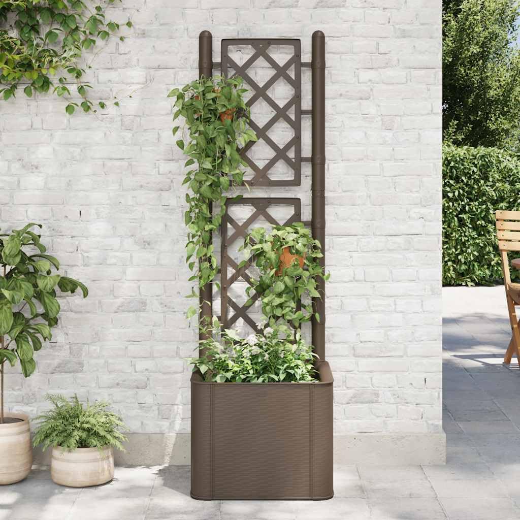 Jardinière Treillis Auto-Arrosante Moka 35L 43x43x142 cm